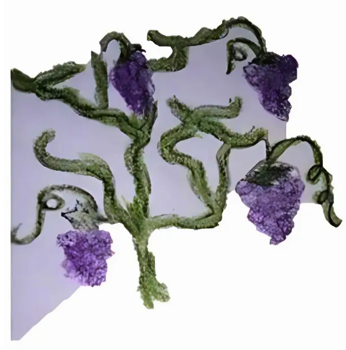 fig_1