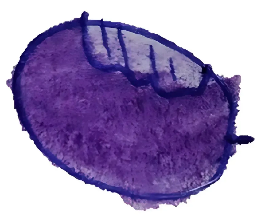 fig_2