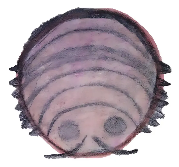 fig_4