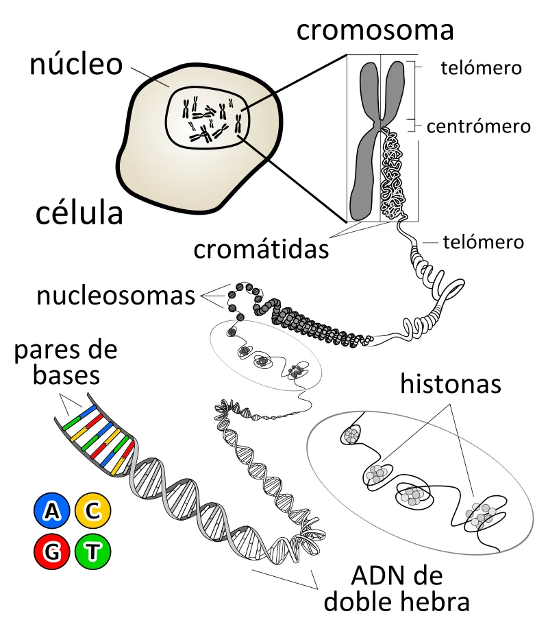 fig_2