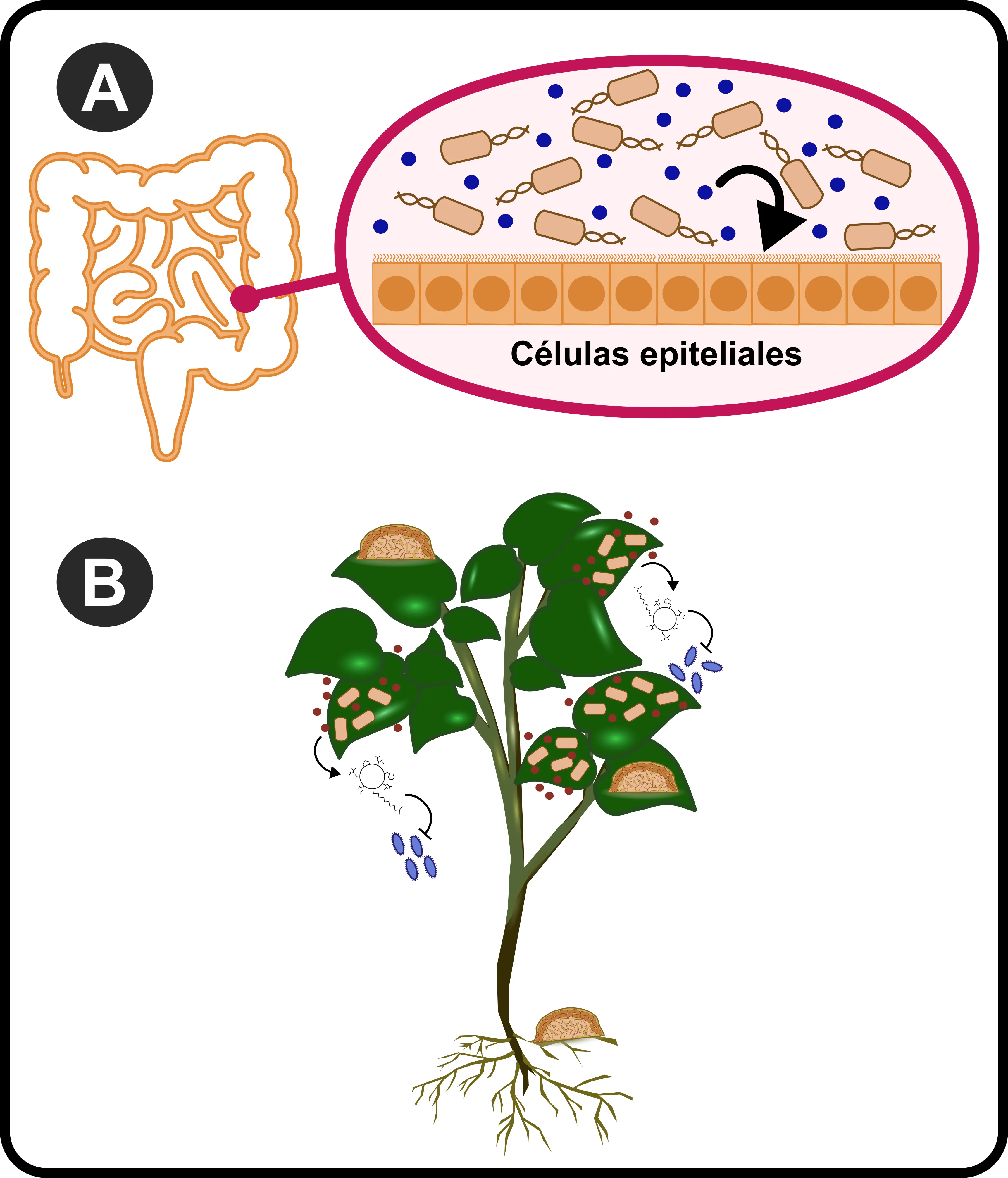 fig_4