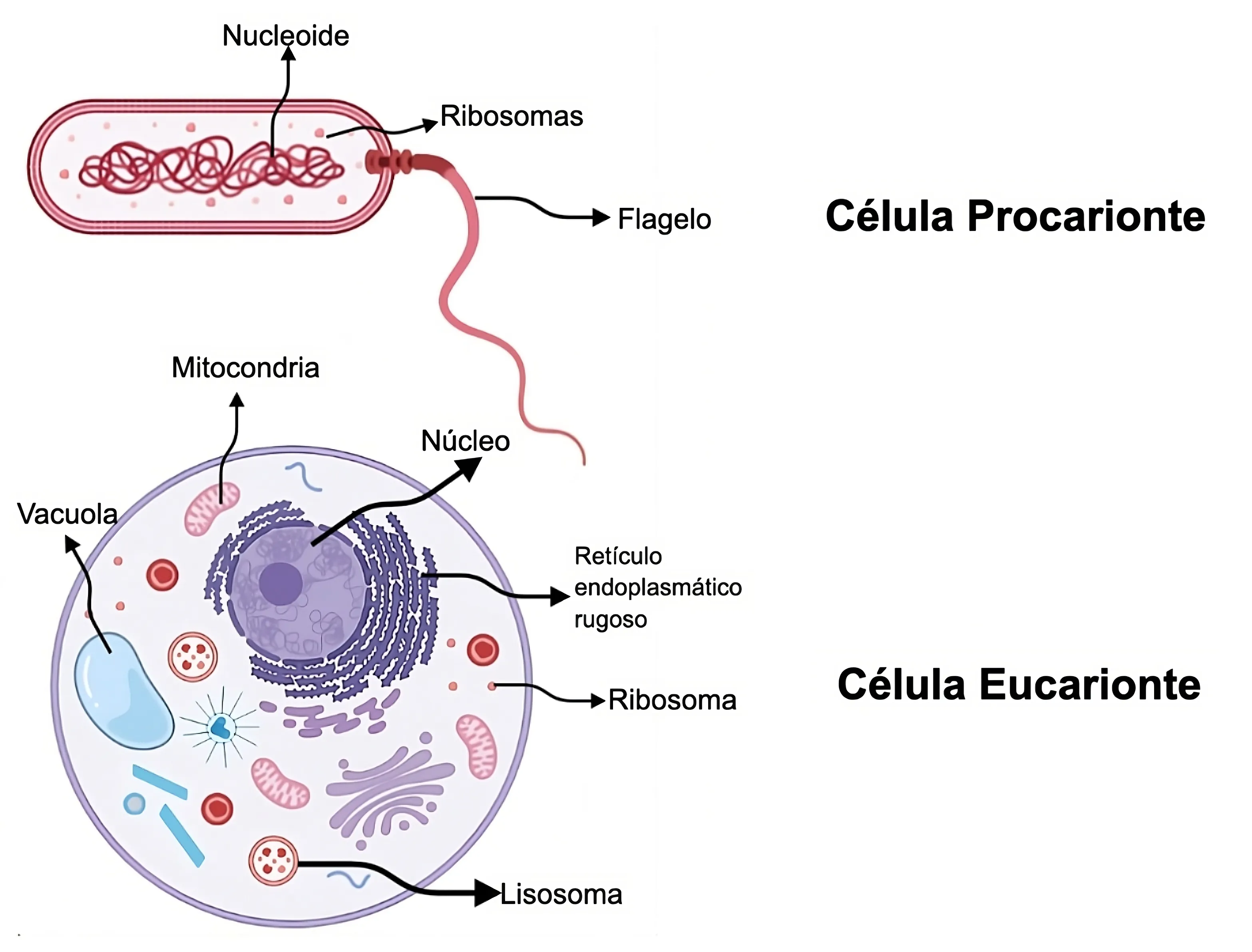 fig_4