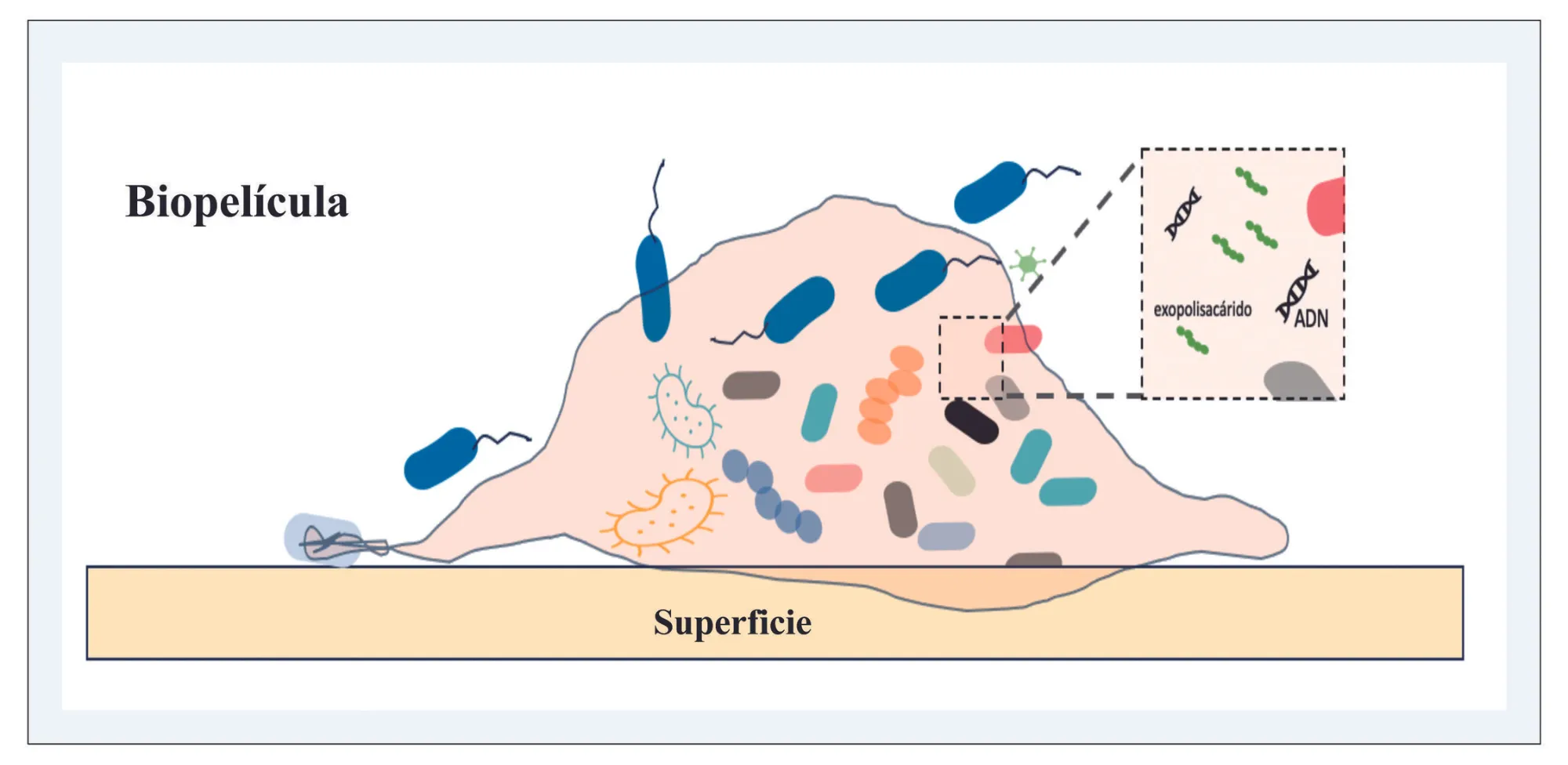 fig_2