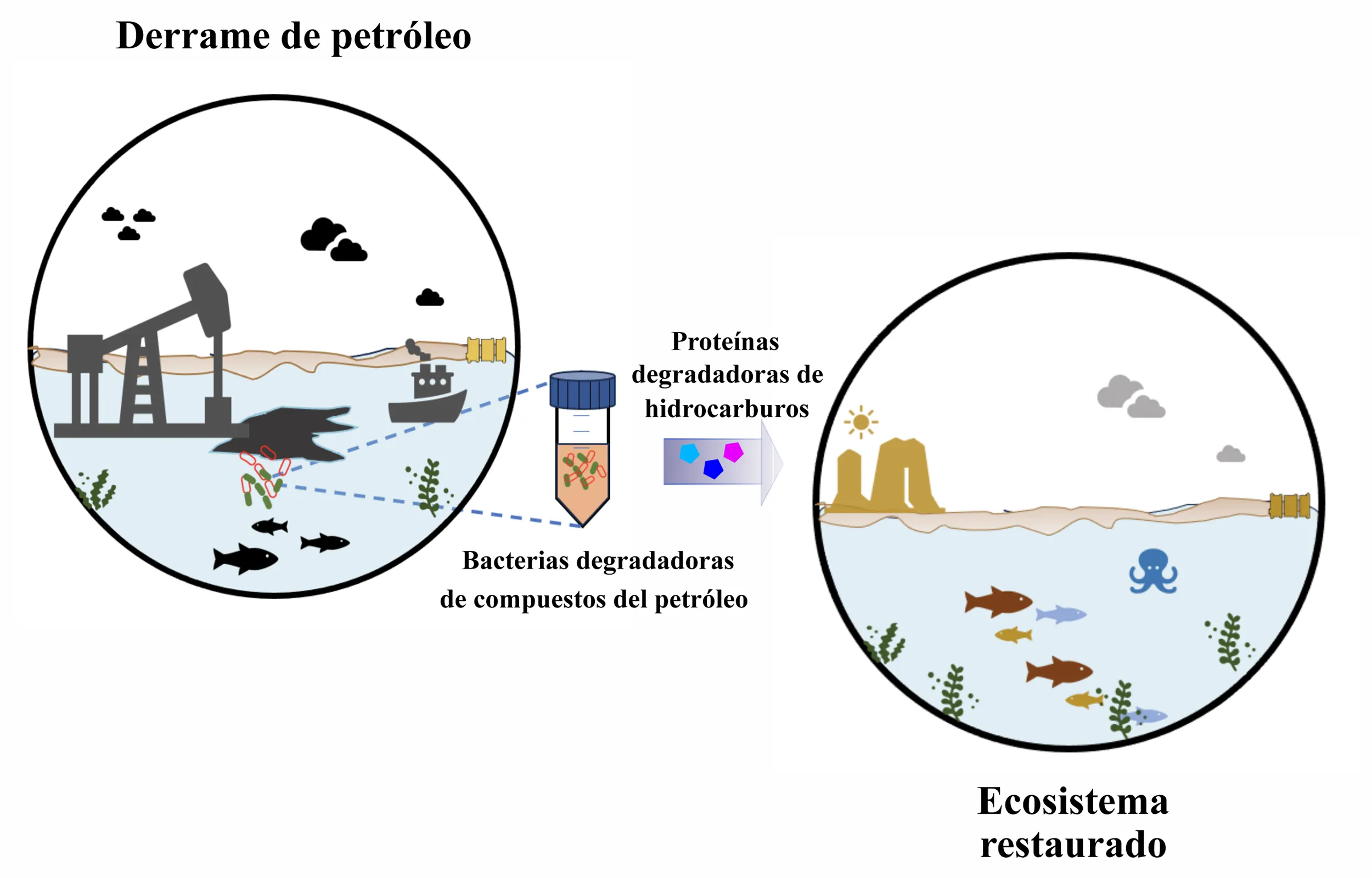 fig_4