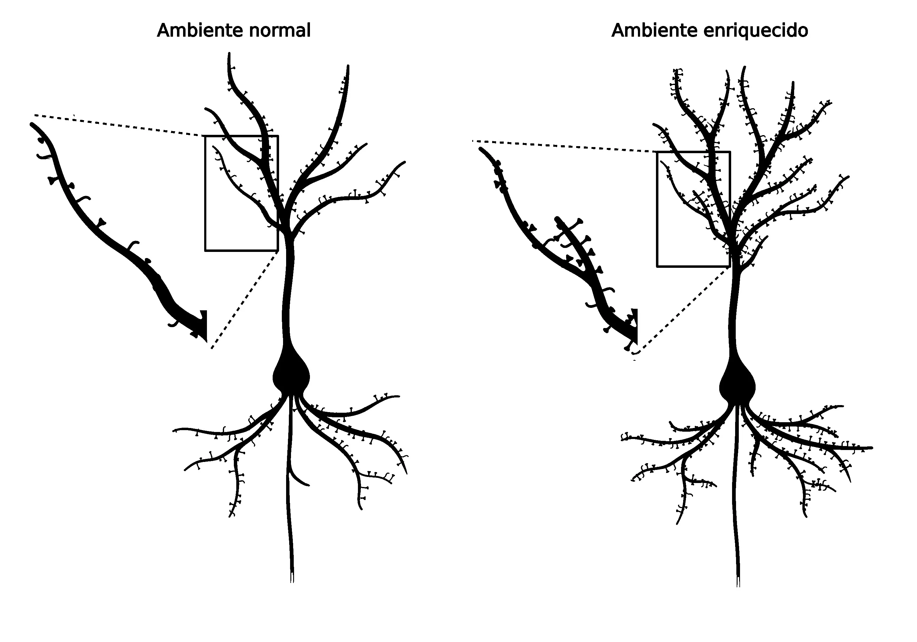 fig_5