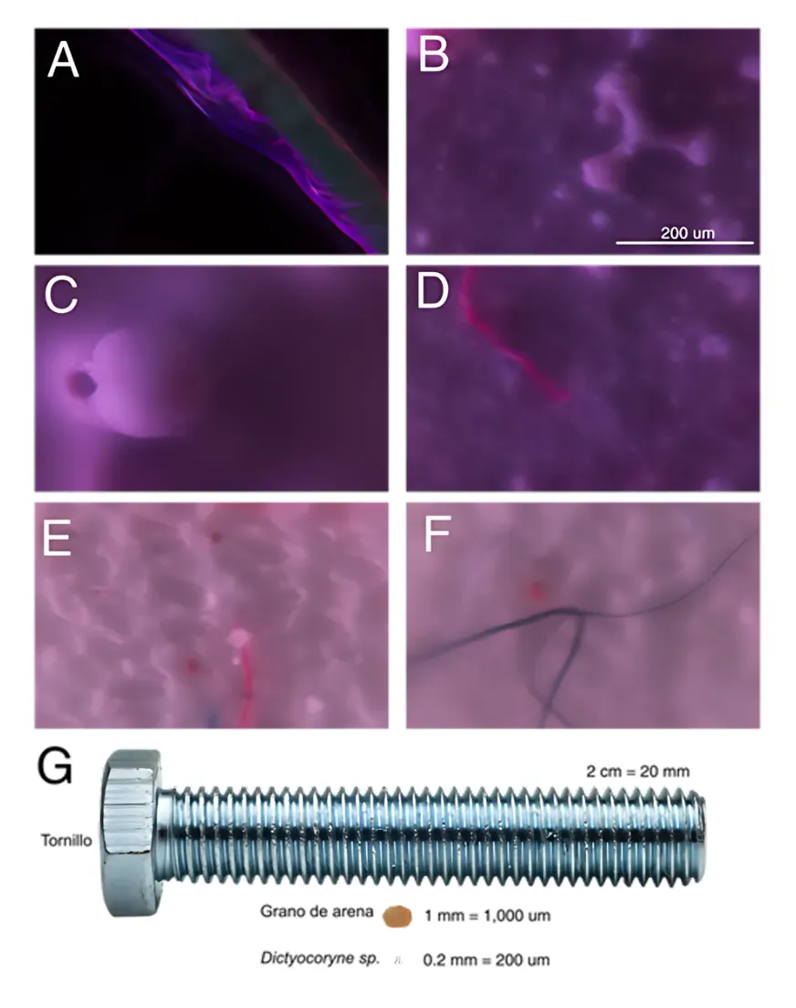 fig_7