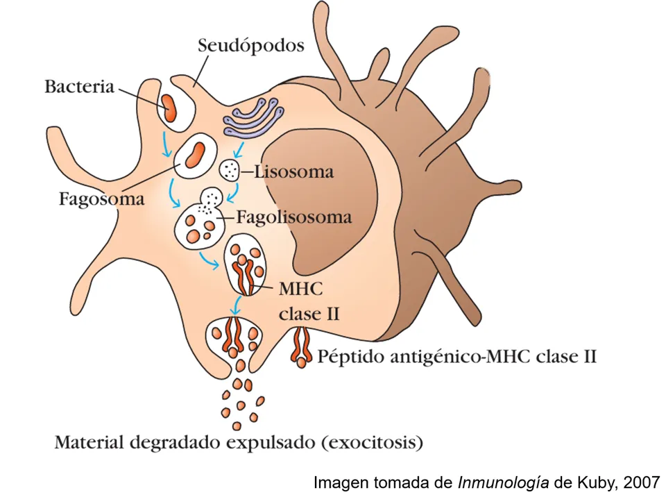 fig_3