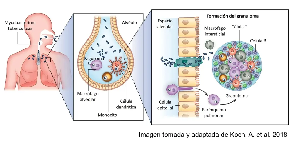 fig_5