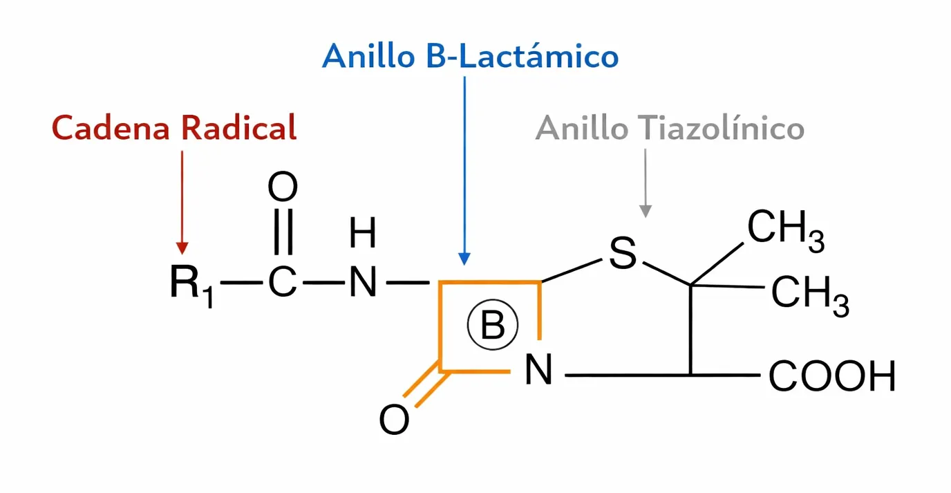 fig_3