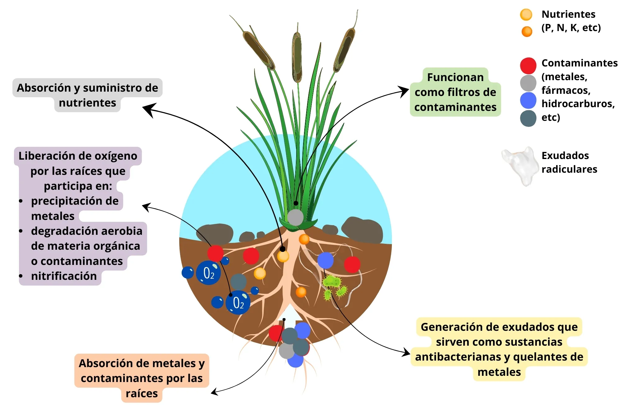 fig_3