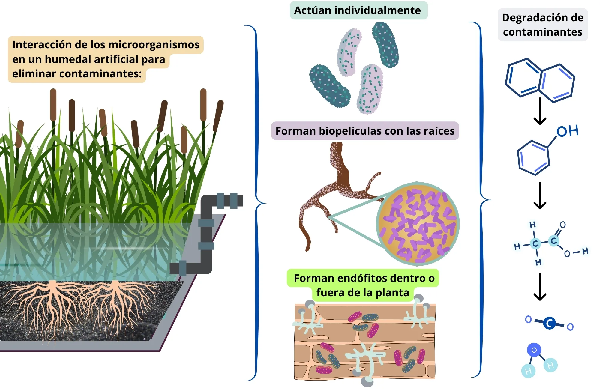 fig_4