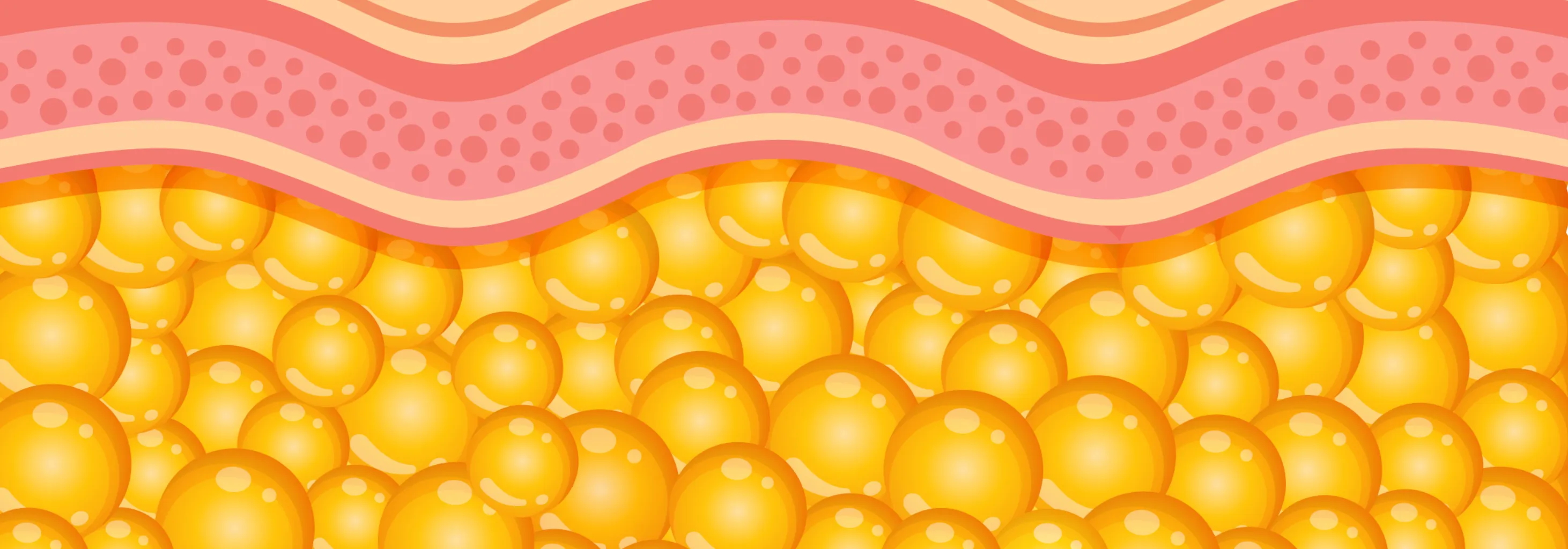 banner_placeholder