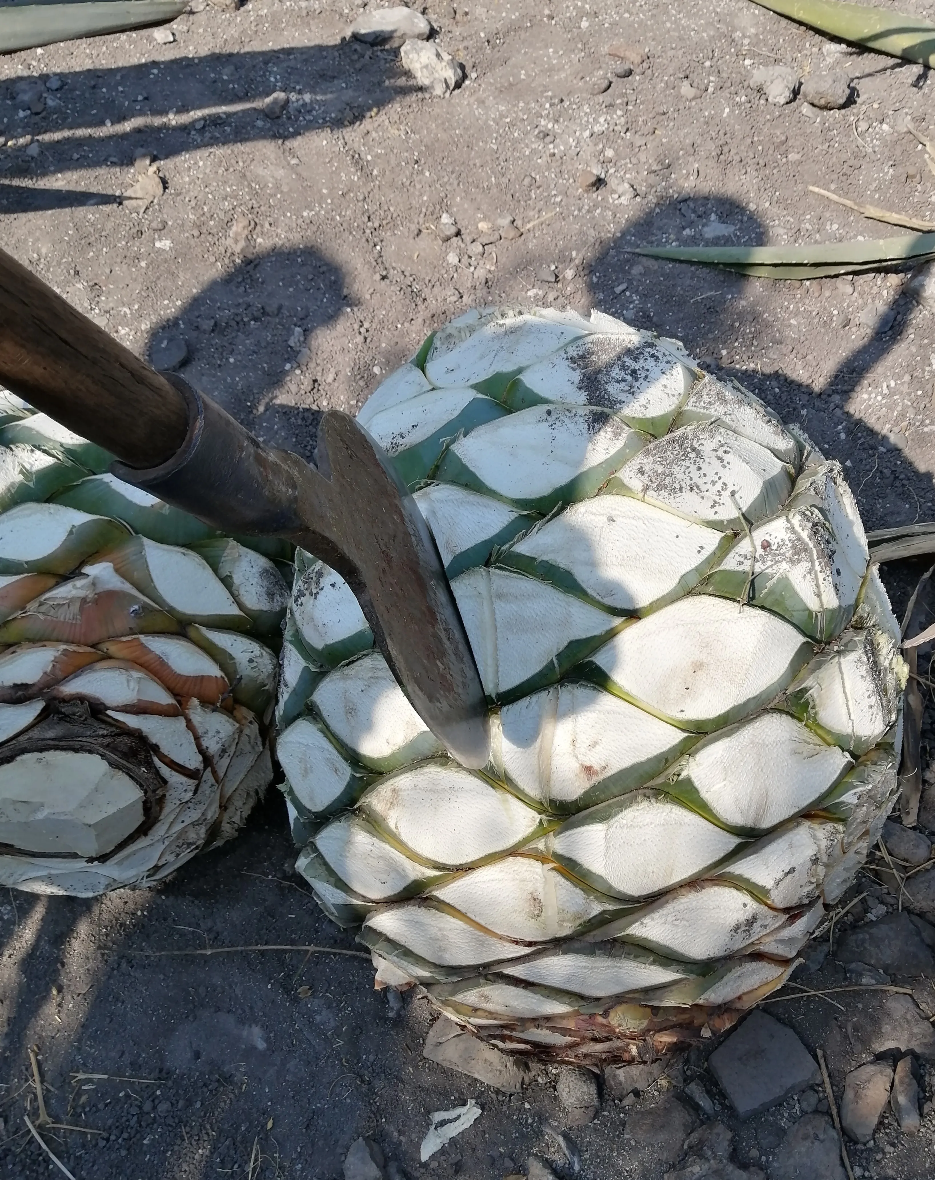 fig_2