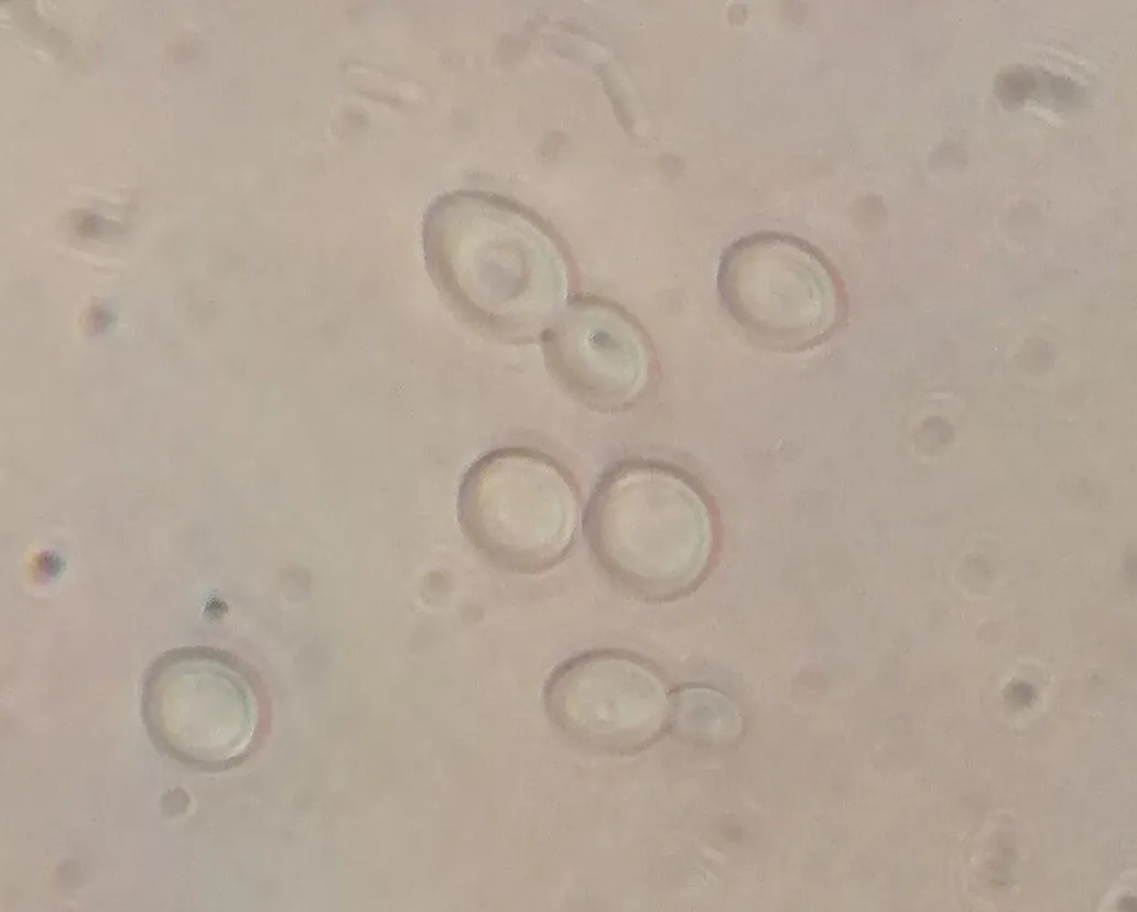 fig_6