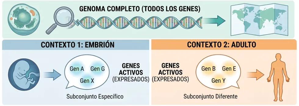 fig_3