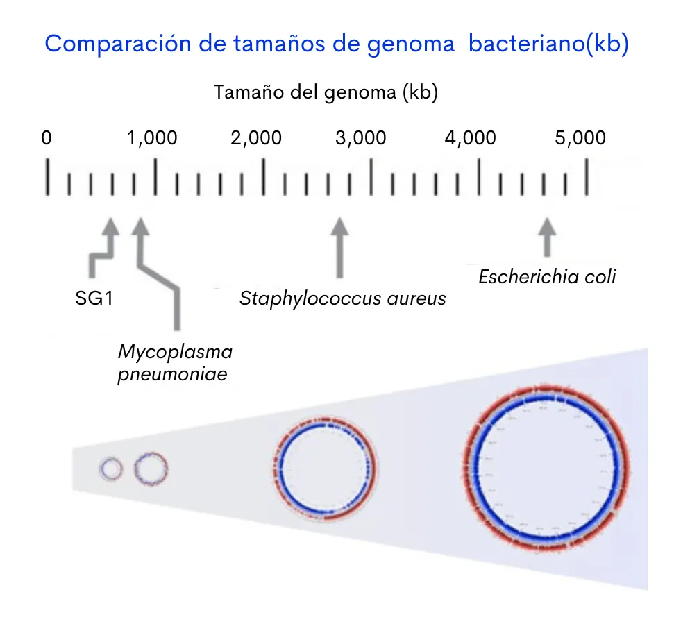 fig_3