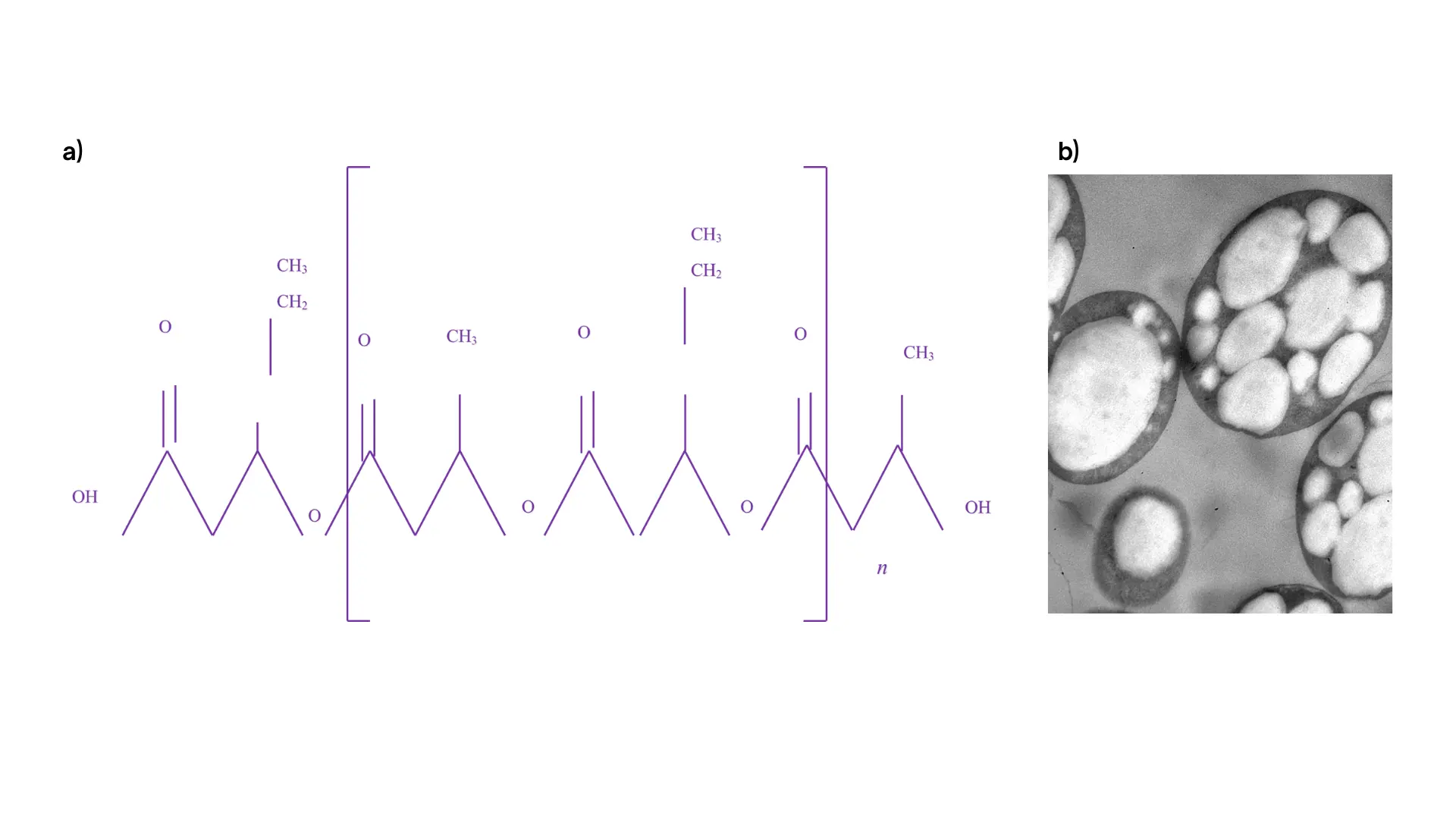 fig_1